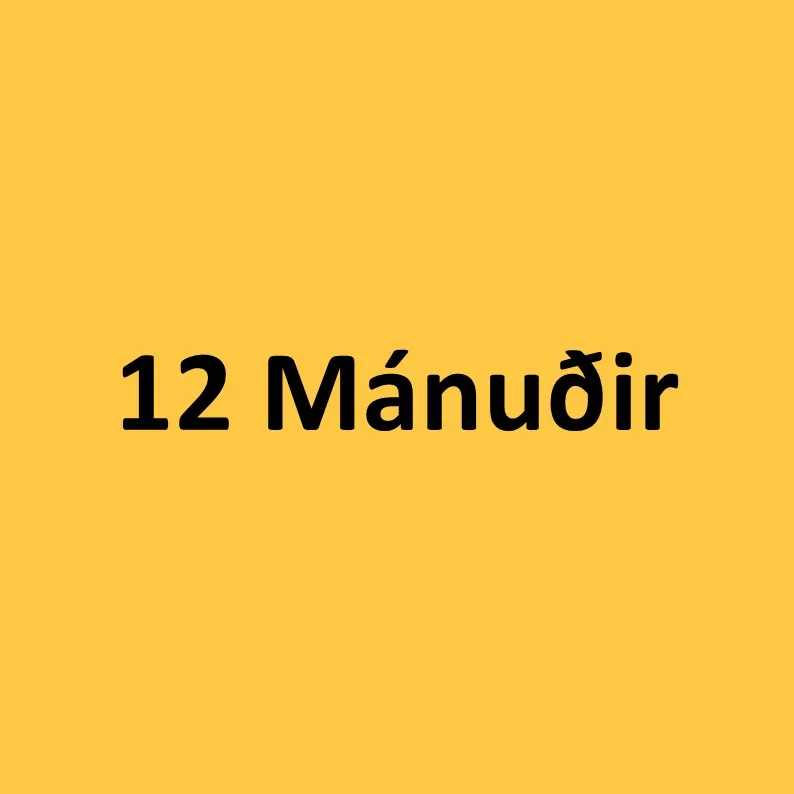 12 mánuðir