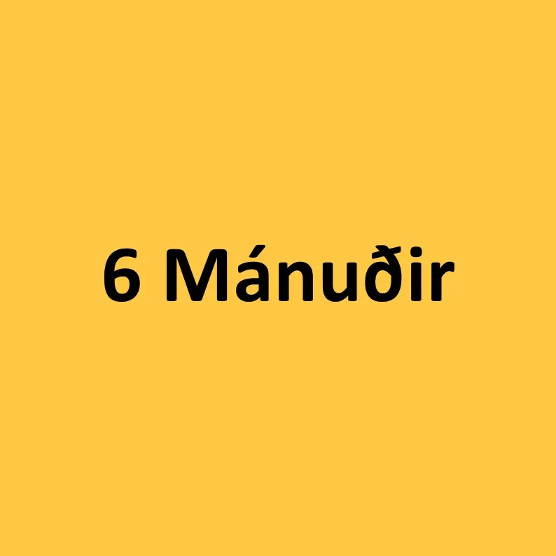 6 mánuðir