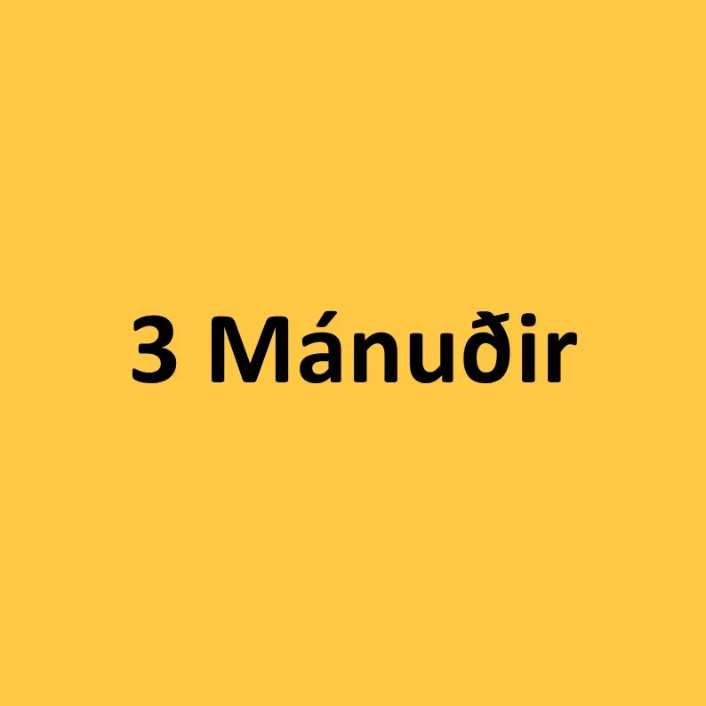 3 mánuðir